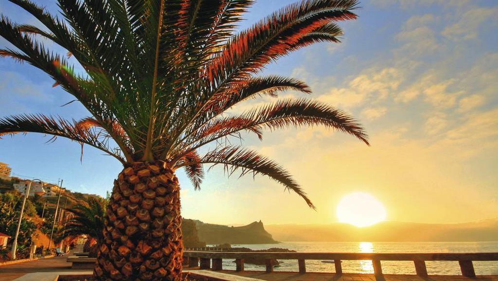 شقة Ventur Balcony كانيكو الغرفة الصورة